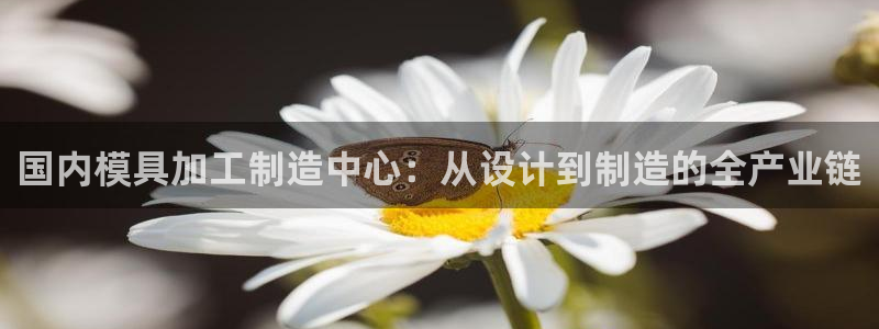星欧娱乐扣费详情详解