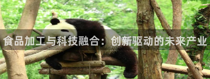 星欧娱乐登录入口