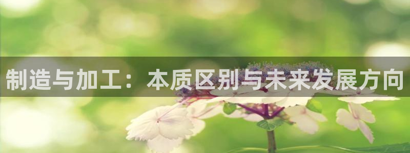 星欧娱乐公司老板背景