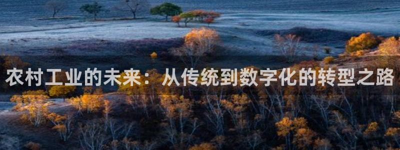 星欧娱乐招商