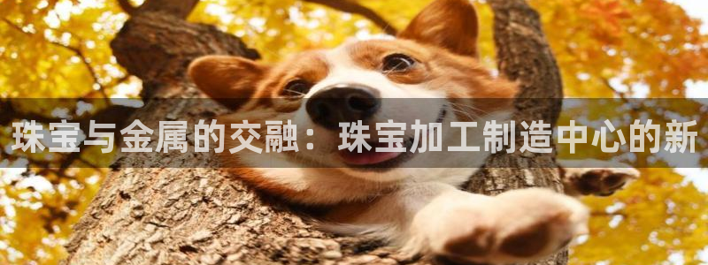 星欧娱乐最新动态消息