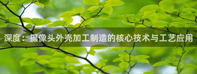 星欧娱乐招商81338
