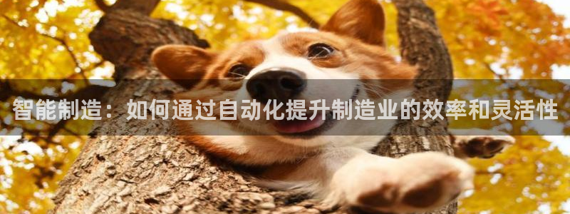 热星娱乐欧豪是谁