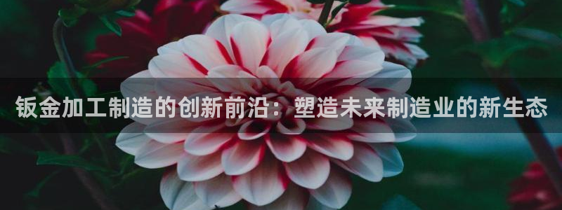星欧娱乐最新活动