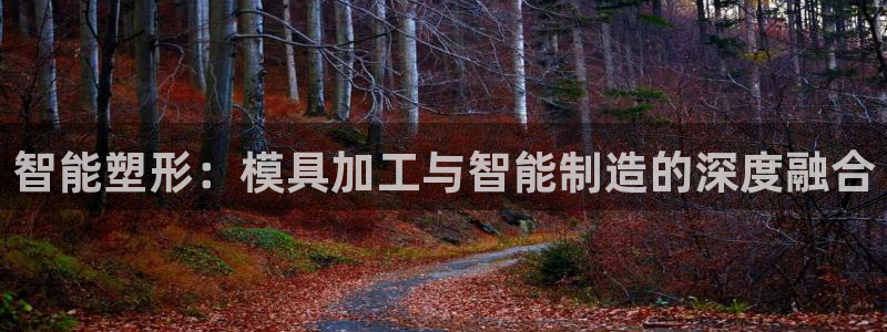 星欧娱乐平台登录