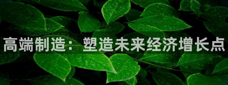 星欧娱乐官方网页版入口