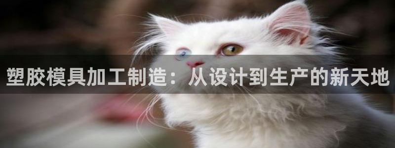 欧星娱乐棋牌怎么样