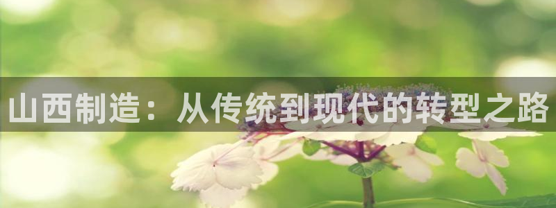 星欧娱乐平台