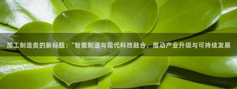 欧星娱乐网址无脑赚