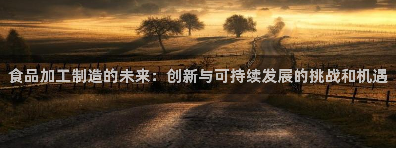 欧联杯正赛星辉娱乐