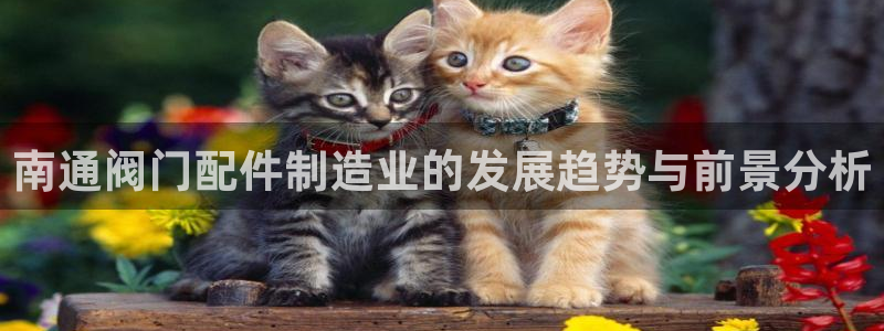 星欧娱乐最新消息今天