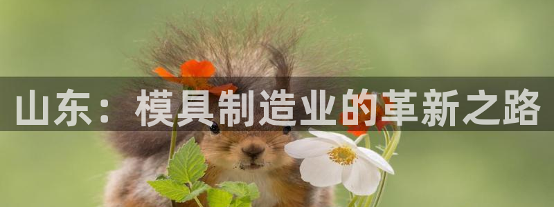 星欧娱乐是诈骗吗