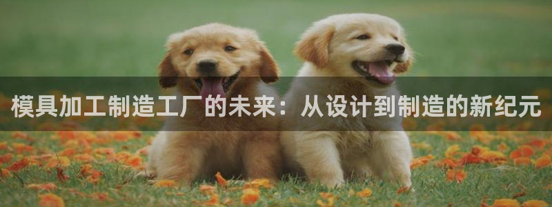 欧汇星娱乐