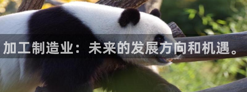 星欧娱乐平台注册