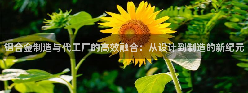 星欧娱乐招商非7O777