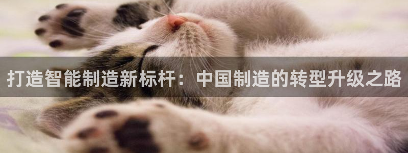 武汉欧汇星娱乐城