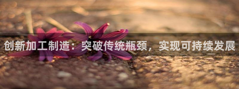 星辉娱乐进入欧连杯了吗
