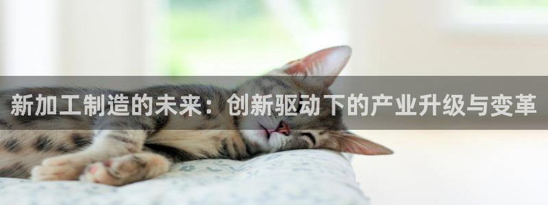 星欧娱乐官网登录