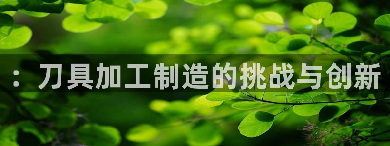 星辉娱乐进入欧联杯了吗