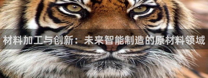 欧星娱乐的盘口