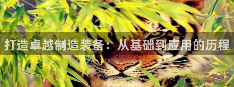 星欧娱乐最新消息