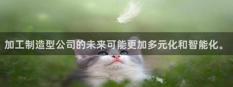 星欧娱乐官网客服电话