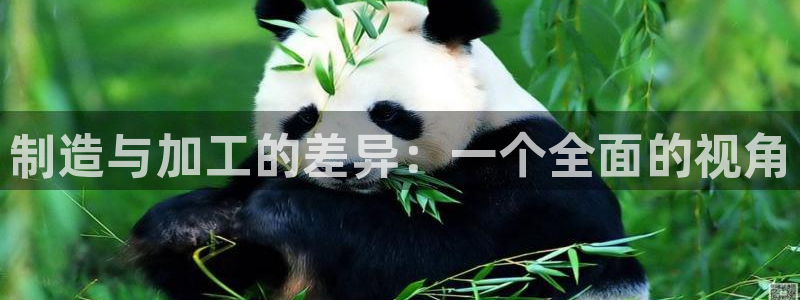 星欧娱乐的官方网站