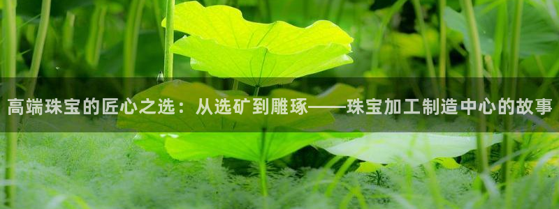 星欧娱乐登陆