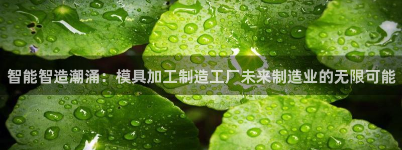 星欧娱乐官网