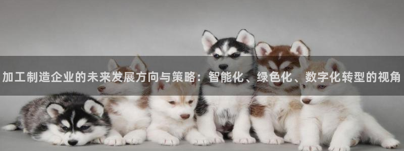 欧星娱乐网站