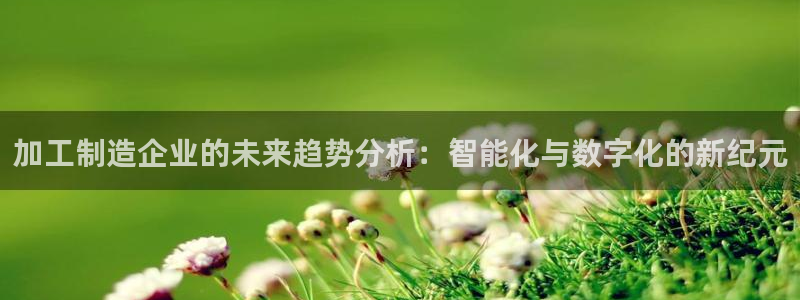 星娱乐online欧弟