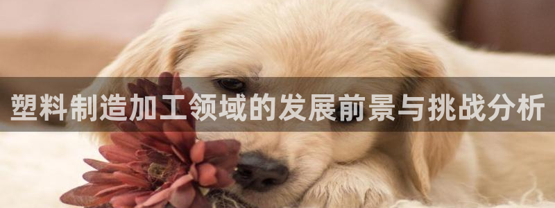 热星娱乐欧豪是谁