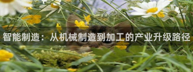 欧星娱乐怎么样