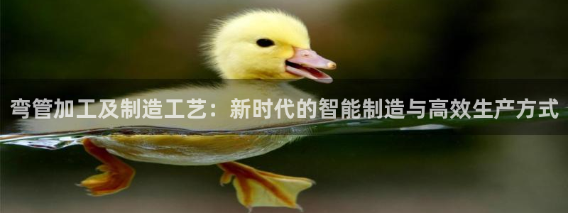 星欧娱乐注册开户