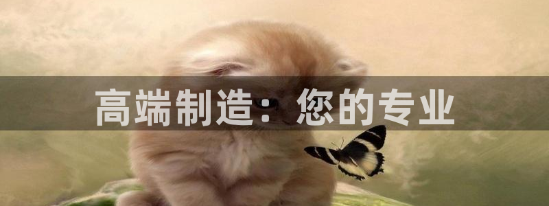 星欧娱乐主管招商中