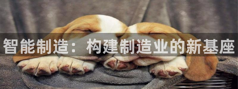 星欧娱乐官方网页