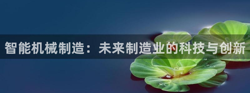 星辉娱乐进入欧连杯