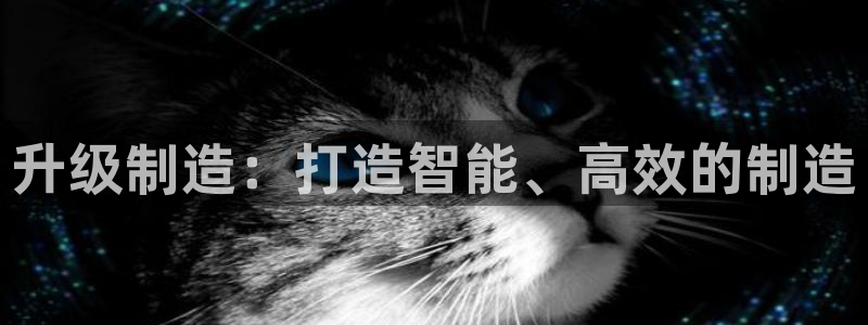 娱乐星扒客欧豪