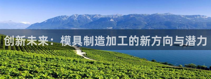 星欧娱乐雀V是什么平台