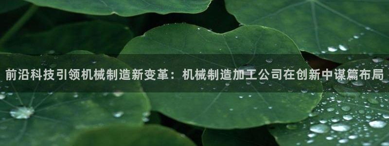 星饭娱乐欧豪是谁