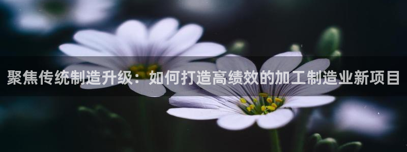 武汉欧汇星娱乐有限公司