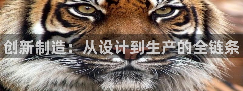 欧星科技娱乐公司