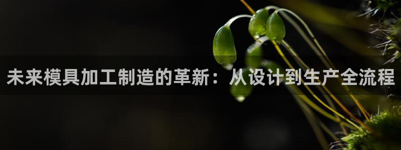 星欧娱乐官方微博