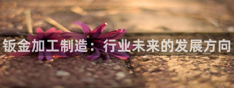 星欧娱乐注册登录