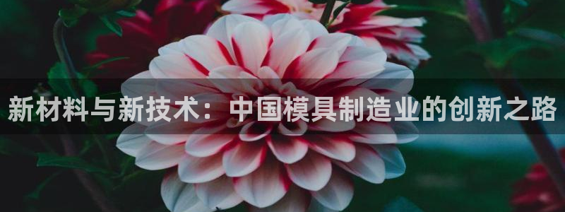 星欧娱乐倒闭了吗