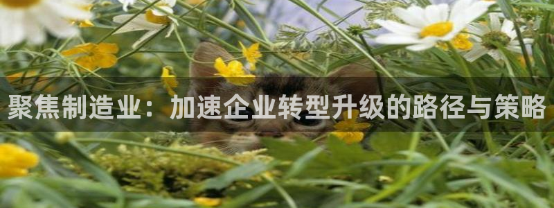 武汉欧汇星娱乐城