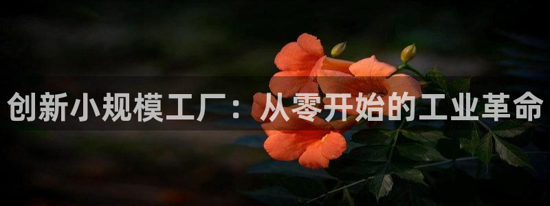 星辉娱乐欧联杯转播