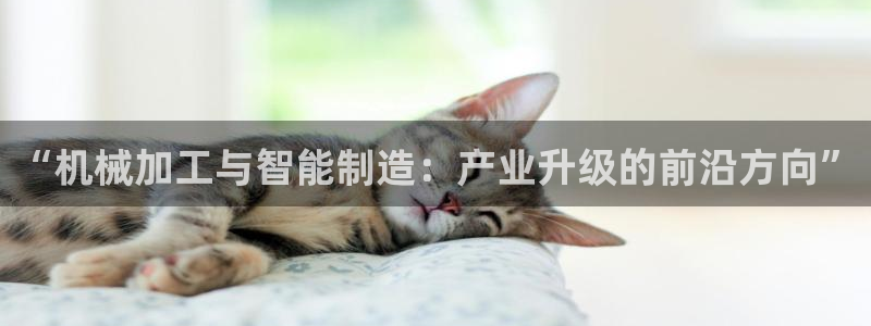 星欧娱乐最近怎么了