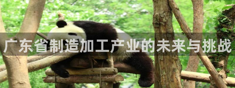 欧星老虎机娱乐