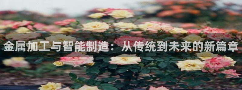 星娱乐欧嘉78778